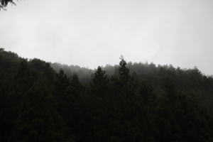 当日早朝の山の風景