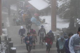 鳥居の階段を行く。辺りは雪で白い。