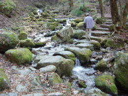 ��̊Ԃ��k��������āA�R����̗l��