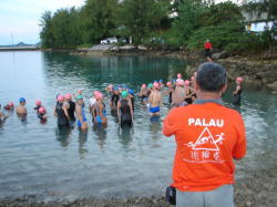 X^[gO̕iACʂ͋̂悤Bw̓pI哝