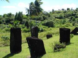 Xg[mX̋ΌQՁAQ炢̐΂