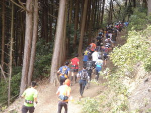 山奥に吸い込まれていくカラフルな選手の一団