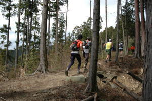 関門、見晴らし台を過ぎ、高水山へ登っていくランナーたち