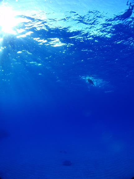 Rota Blue Triathlon